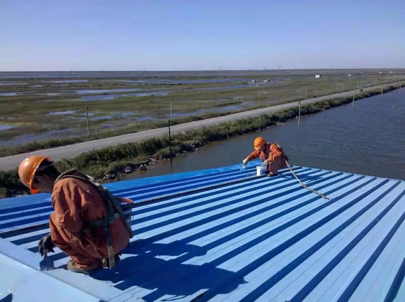 云浮彩钢瓦屋面防腐翻新